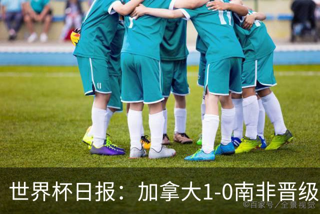 世界杯日报：加拿大1-0南非晋级创历史 韩国主帅洪明甫下课