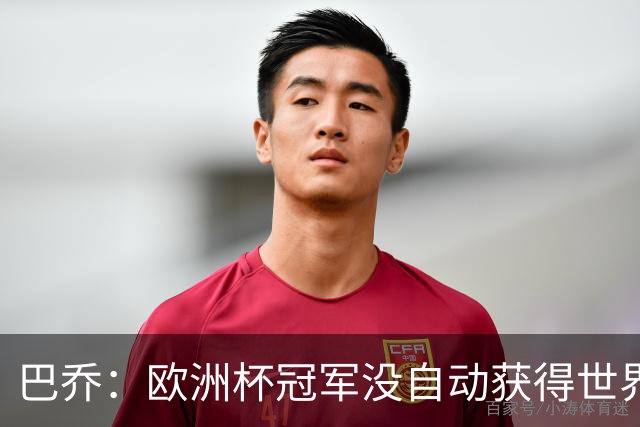 巴乔：欧洲杯冠军没自动获得世界杯资格 这是耻辱
